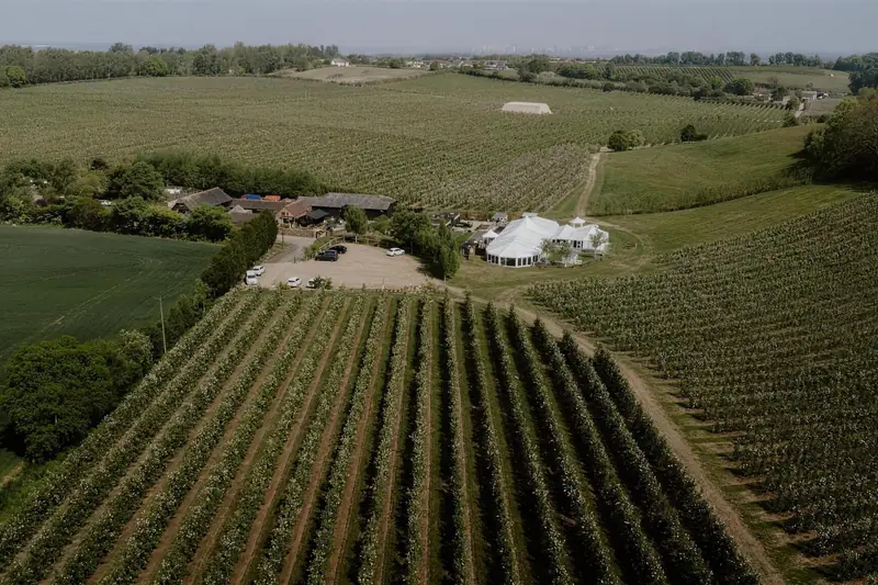 The Orchard