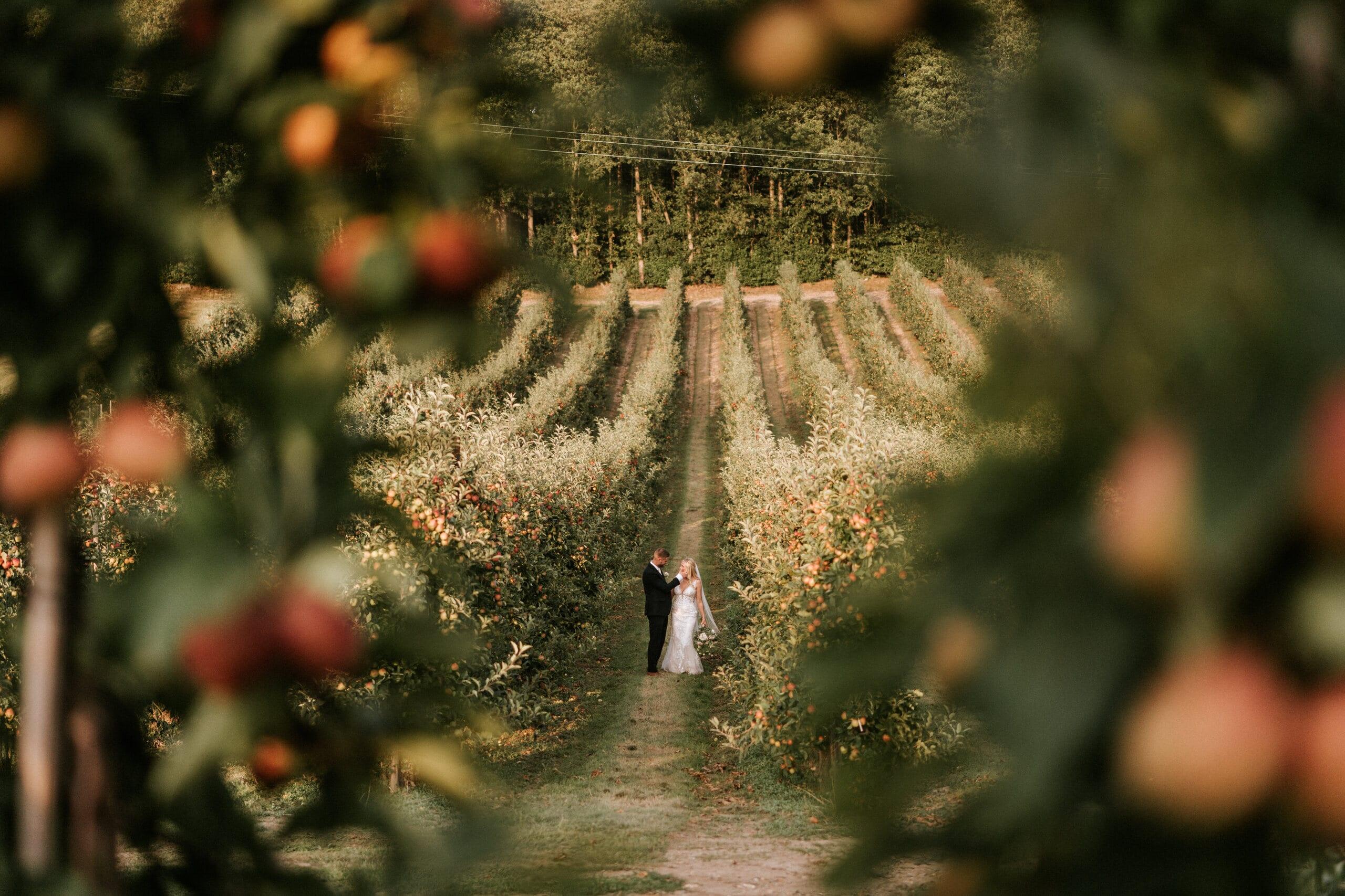 A couple in The BarnYard apple orchard