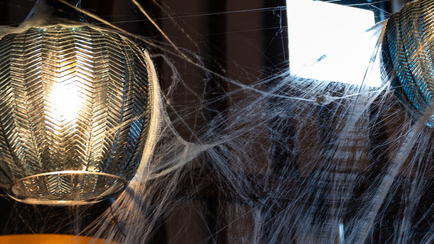 A lantern strung with cobwebs for the Halloween season at The BarnYard